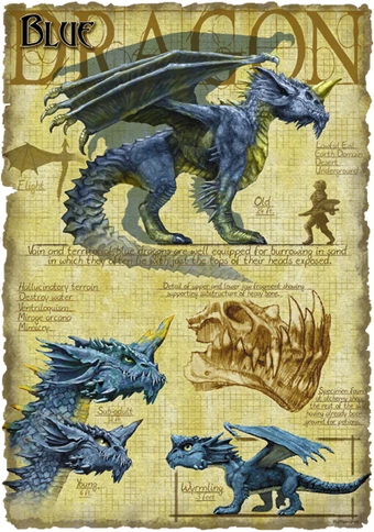 Get Blue Dragon Forgotten Realms Wiki Fandom Free HD Get Wallpaper Blue Dragon Forgotten Realms Wiki Fandom For iPhone