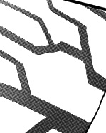 Linespic