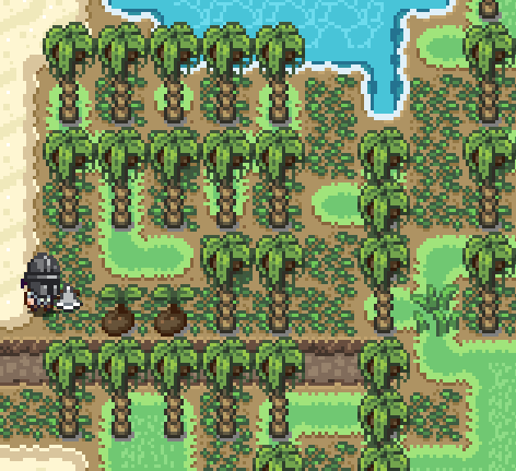 Coconut Trees