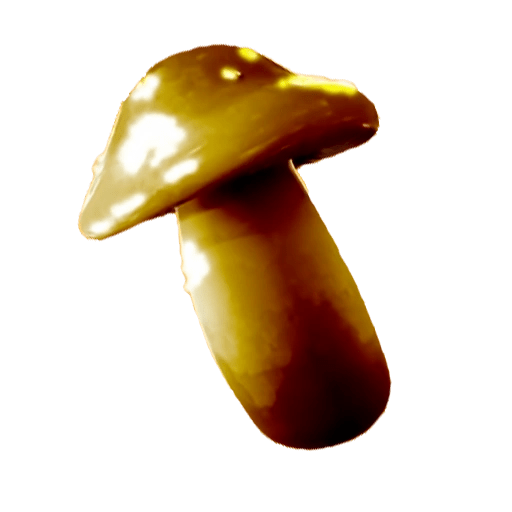 Xlnihreycjignm