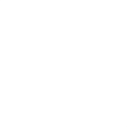 Eagle Fortnite Wiki Fandom Powered By Wikia - eagle emote fortnite