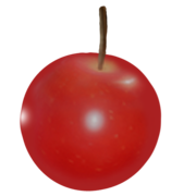 Pomme