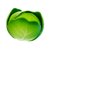 Cabbage Fortnite Wiki Fandom