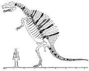 Monografía Spinosaurus