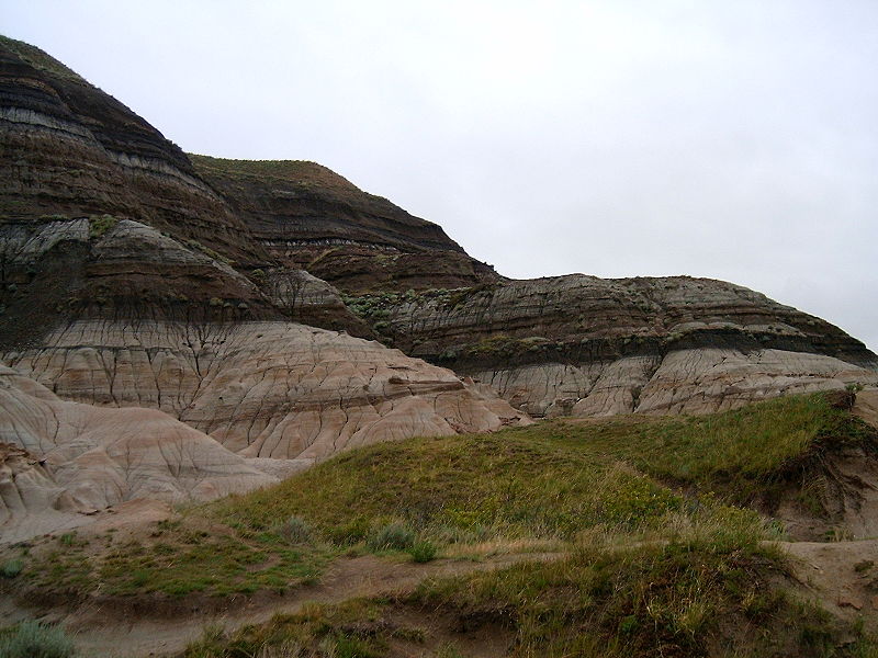 cretaceous mass extinction