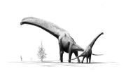 Brachiosaurus-brancai jconway
