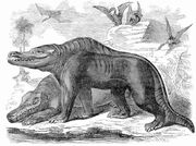 megalosaurus fossil