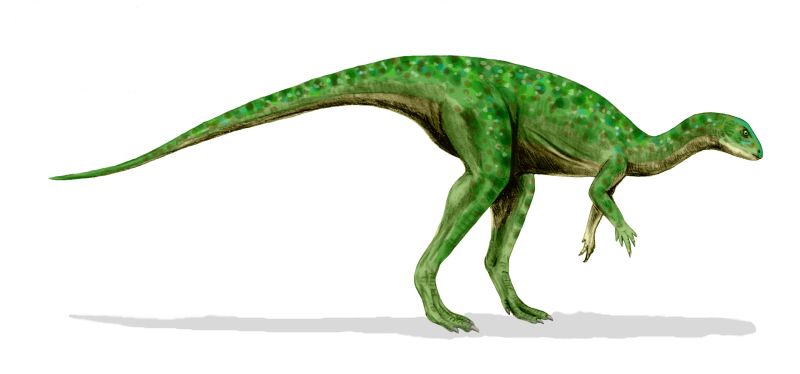 dinosaurs of the morrison formation