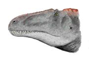 acrocanthosaurus fossil