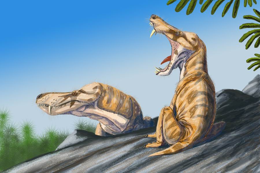 Therapsida | Fossil Wiki | FANDOM powered by Wikia