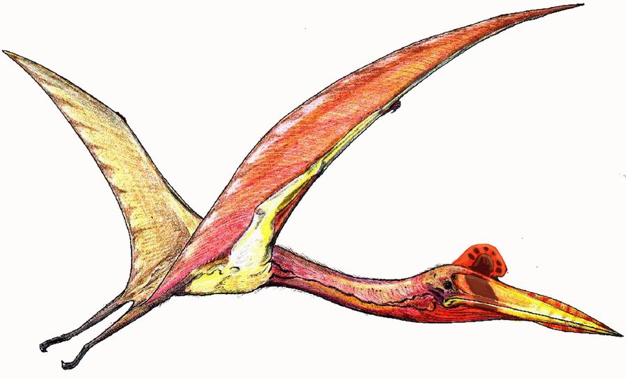 quetzal dinosaur size