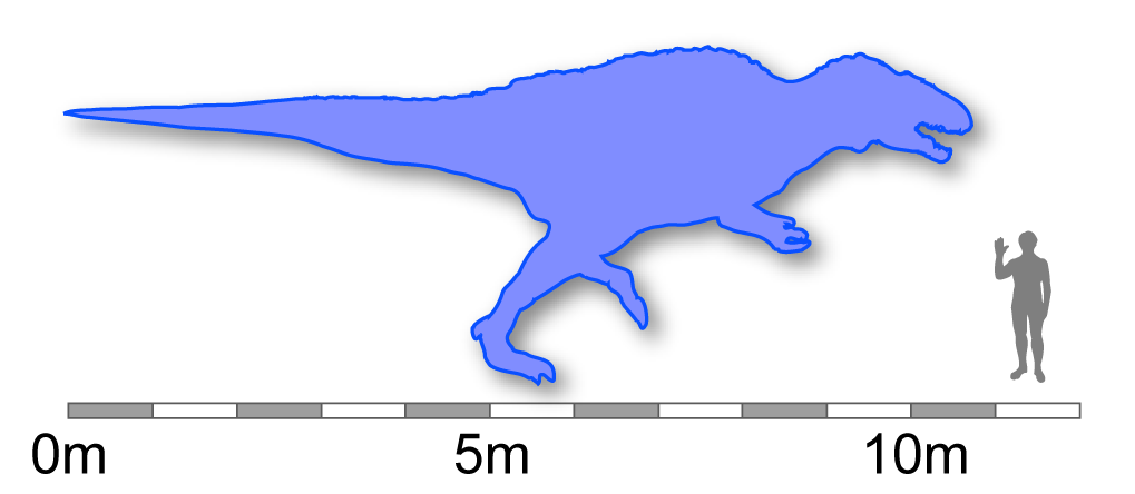acrocanthosaurus fossil