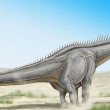 Diplodocus