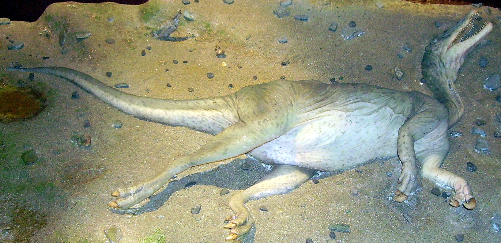 baryonyx fossil for sale