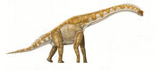 Giraffatitan DB