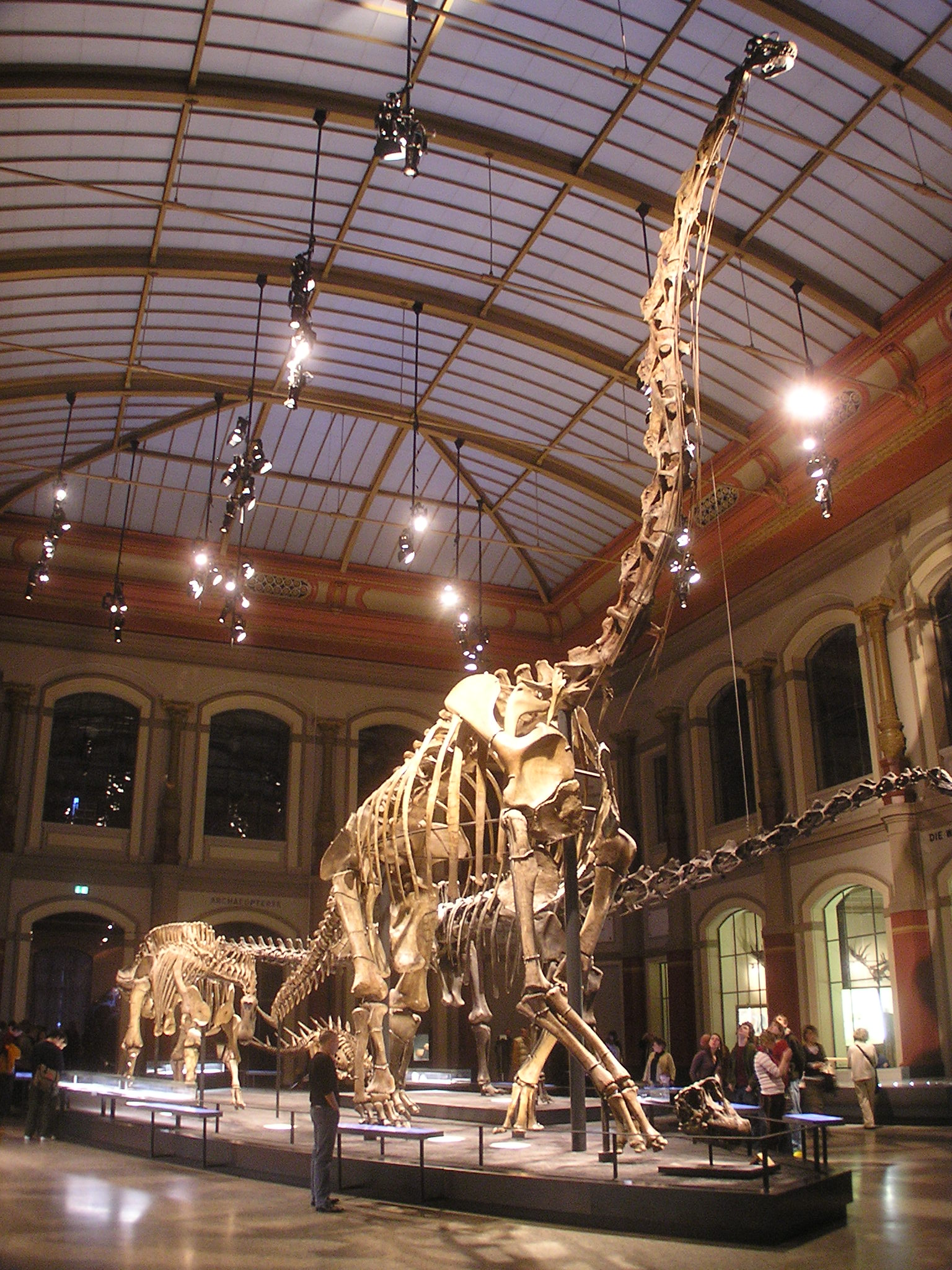 Brachiosaurus | Fossil Wiki | FANDOM powered by Wikia