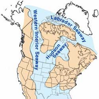 Western Interior Seaway Fossil Wiki Fandom