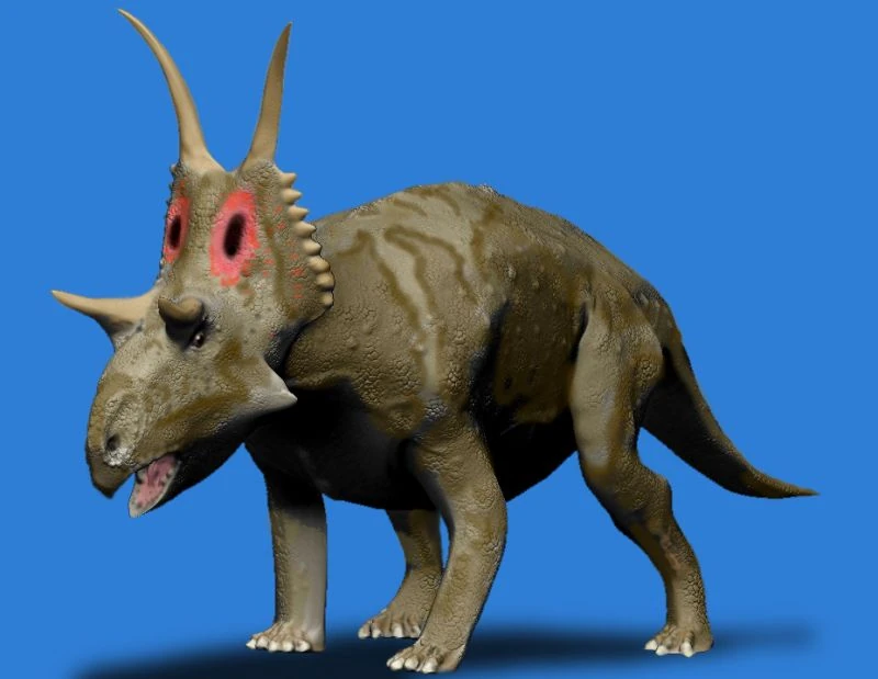 Diabloceratops Fossil Wiki FANDOM powered by Wikia