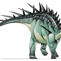 Kentrosaurus Fossil Wiki Fandom
