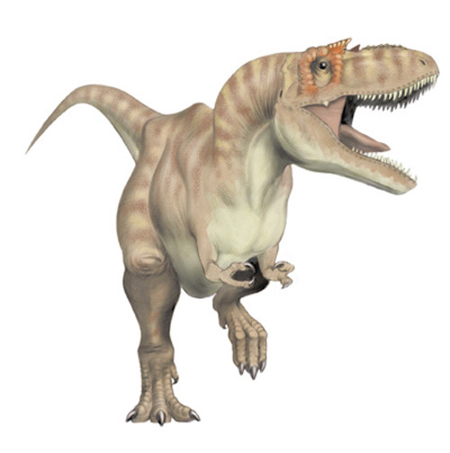 albertosaurus jwe