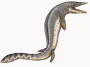 Taniwhasaurus