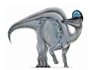 corythosaurus fossil
