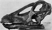 Fig023