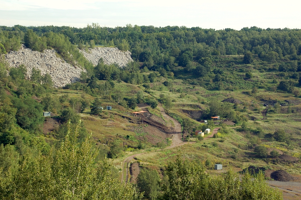 Messel pit | Fossil Wiki | FANDOM powered by Wikia