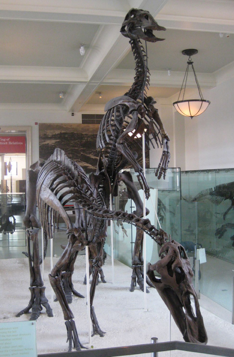 latest paleontology discoveries