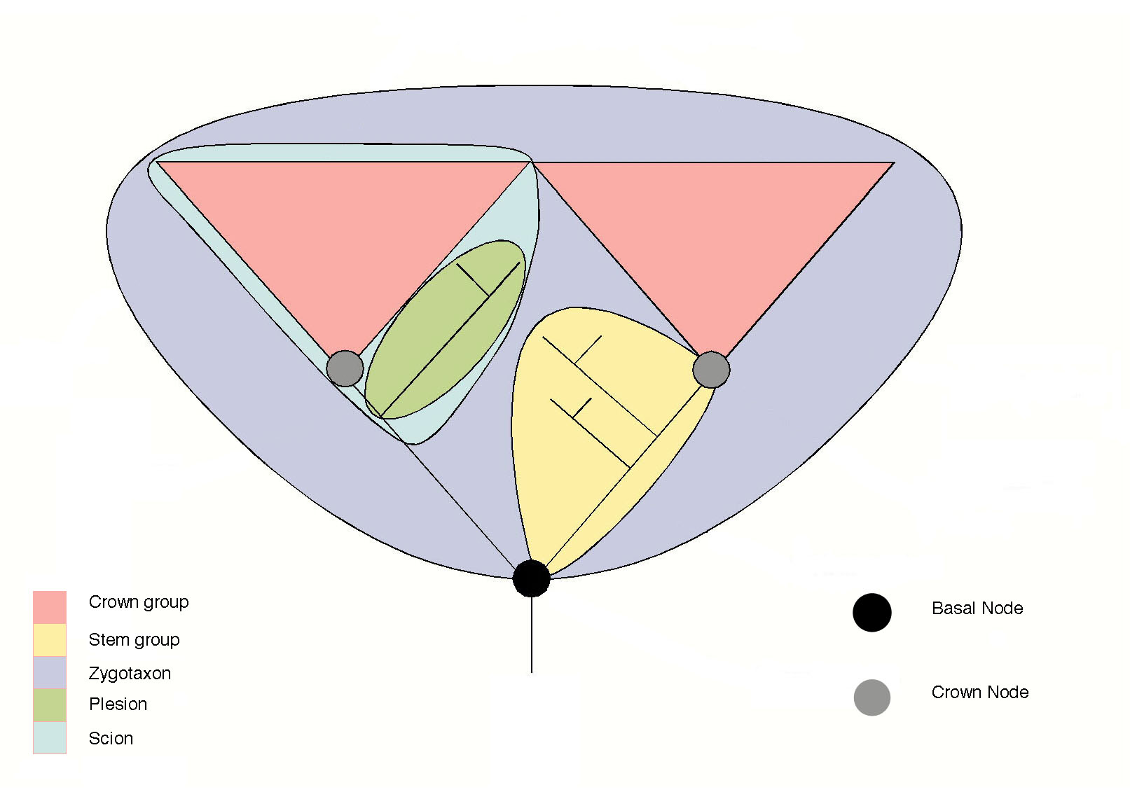 bone-marrow-derived-stem-cells-therapy