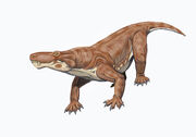 Scylacosaurus