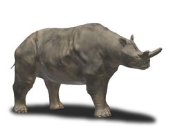 safari ltd megacerops