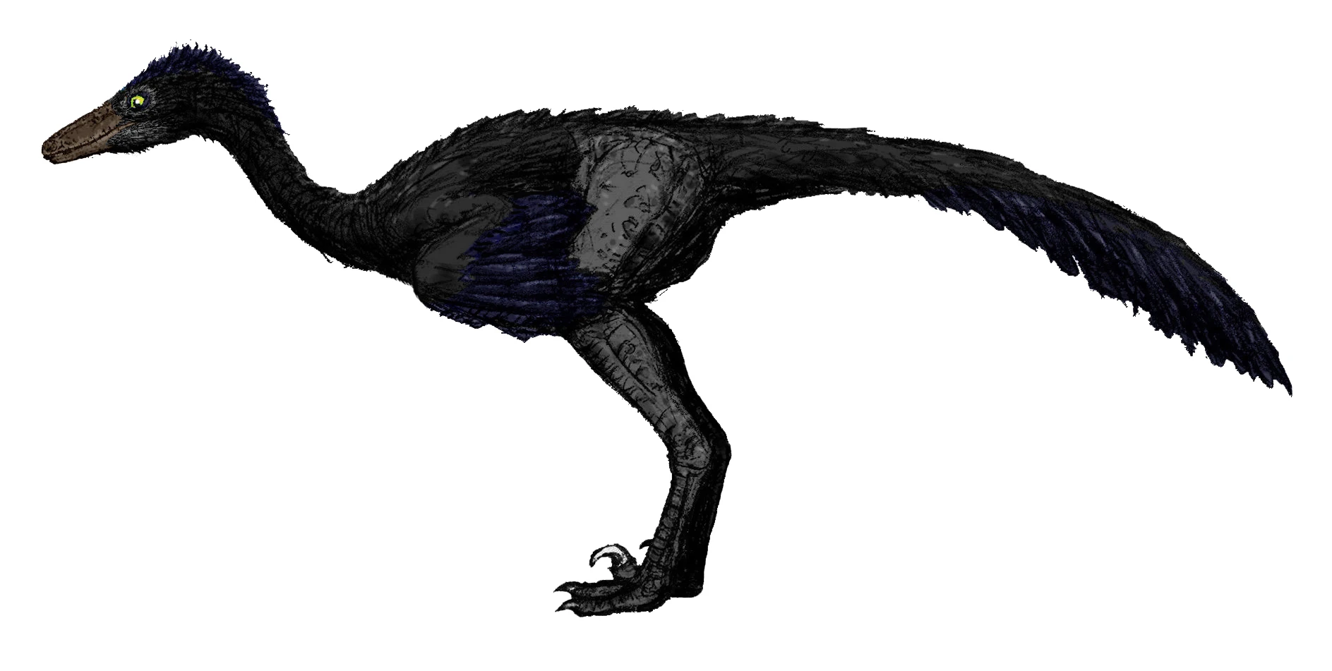 Zanabazar Fossil Wiki FANDOM powered by Wikia