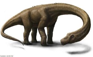 Dreadnoughtus | Fossil Wiki | FANDOM powered by Wikia