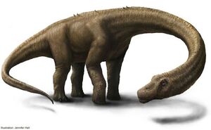 dreadnoughtus fossil