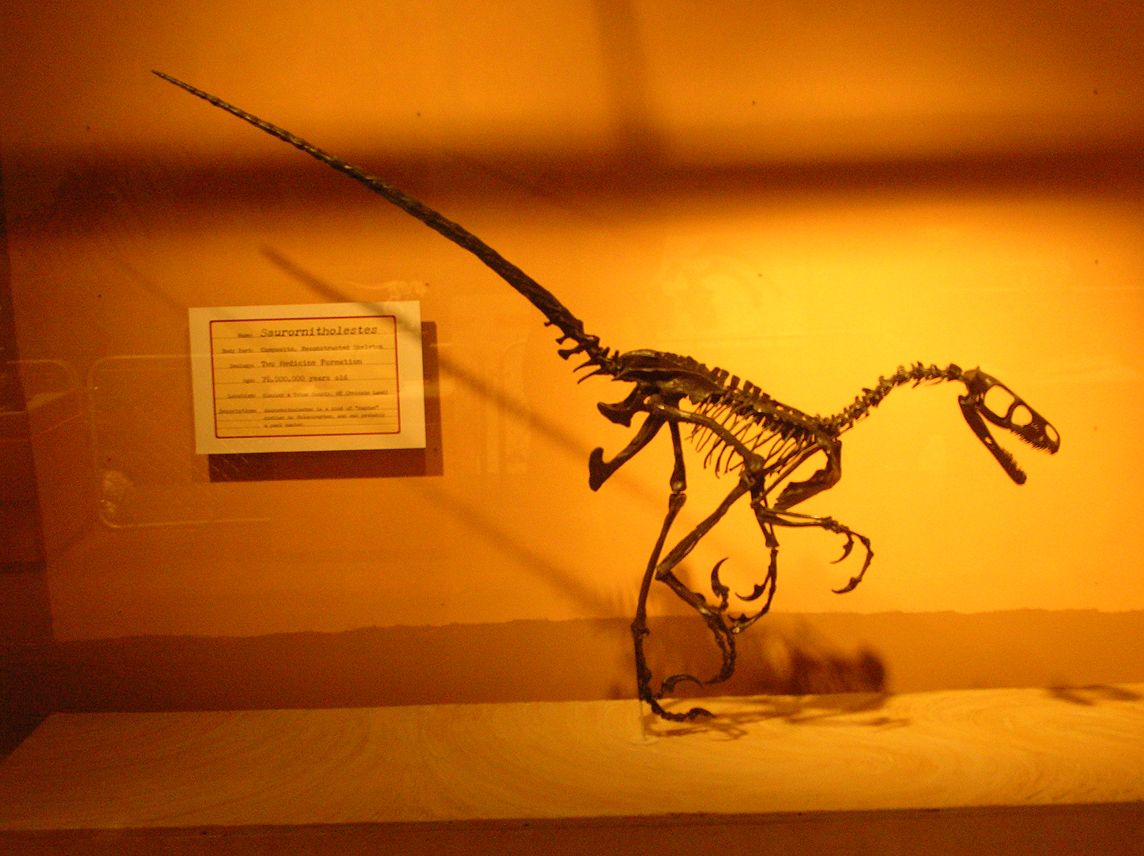 Paleontologists Reveal A Game Changing Discovery A Nonmarine Lobopodian Fossil - smyfxe2