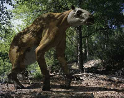chalicotherium fossil wikia