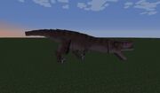 Female Rex