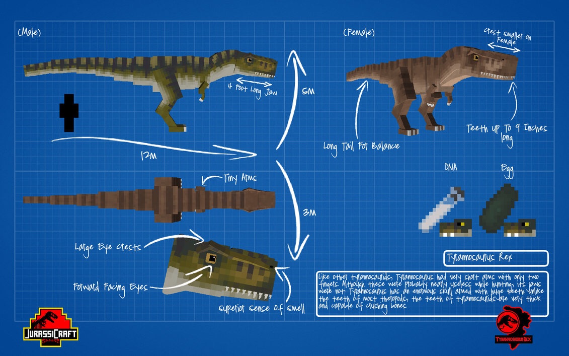fossils and archeology dinosaurs