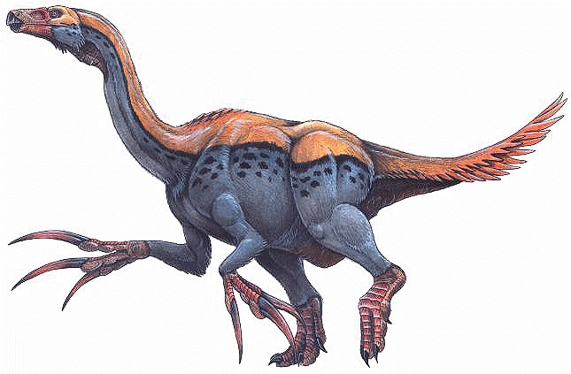 Dacentrurus