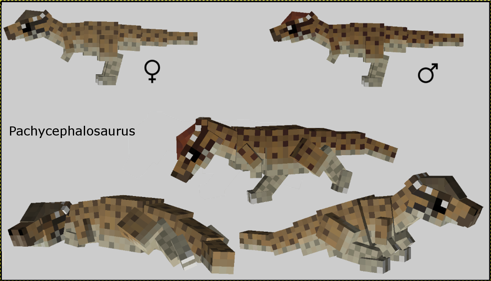 Pachycephalosaurus Fossils and Archeology Mod Revival Wiki FANDOM