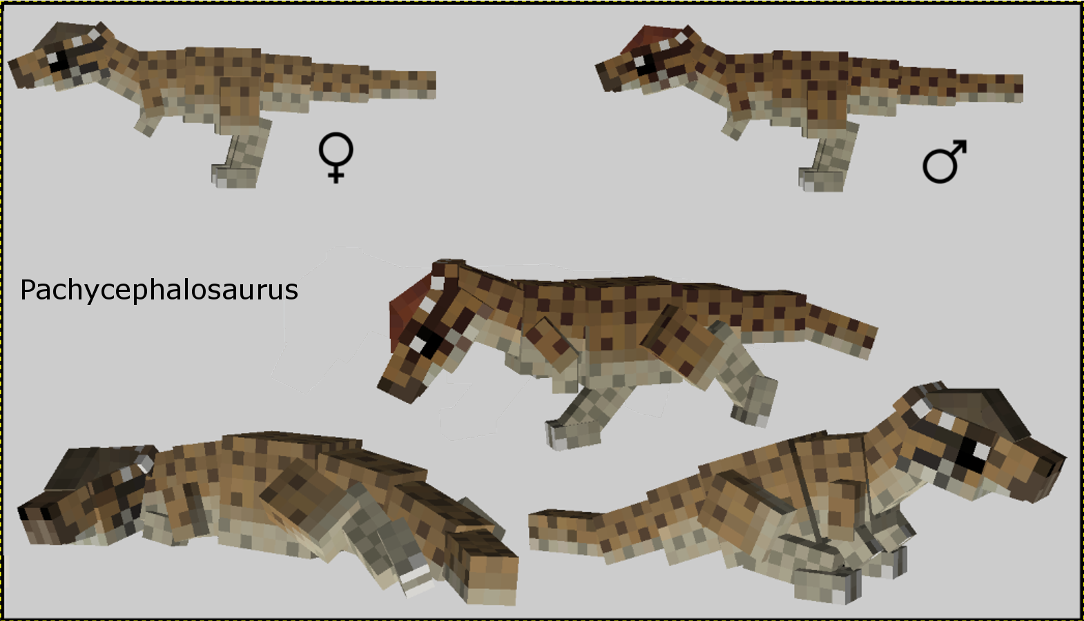 Pachycephalosaurus  Fossils and Archeology Mod Revival 