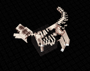 Rex fossil