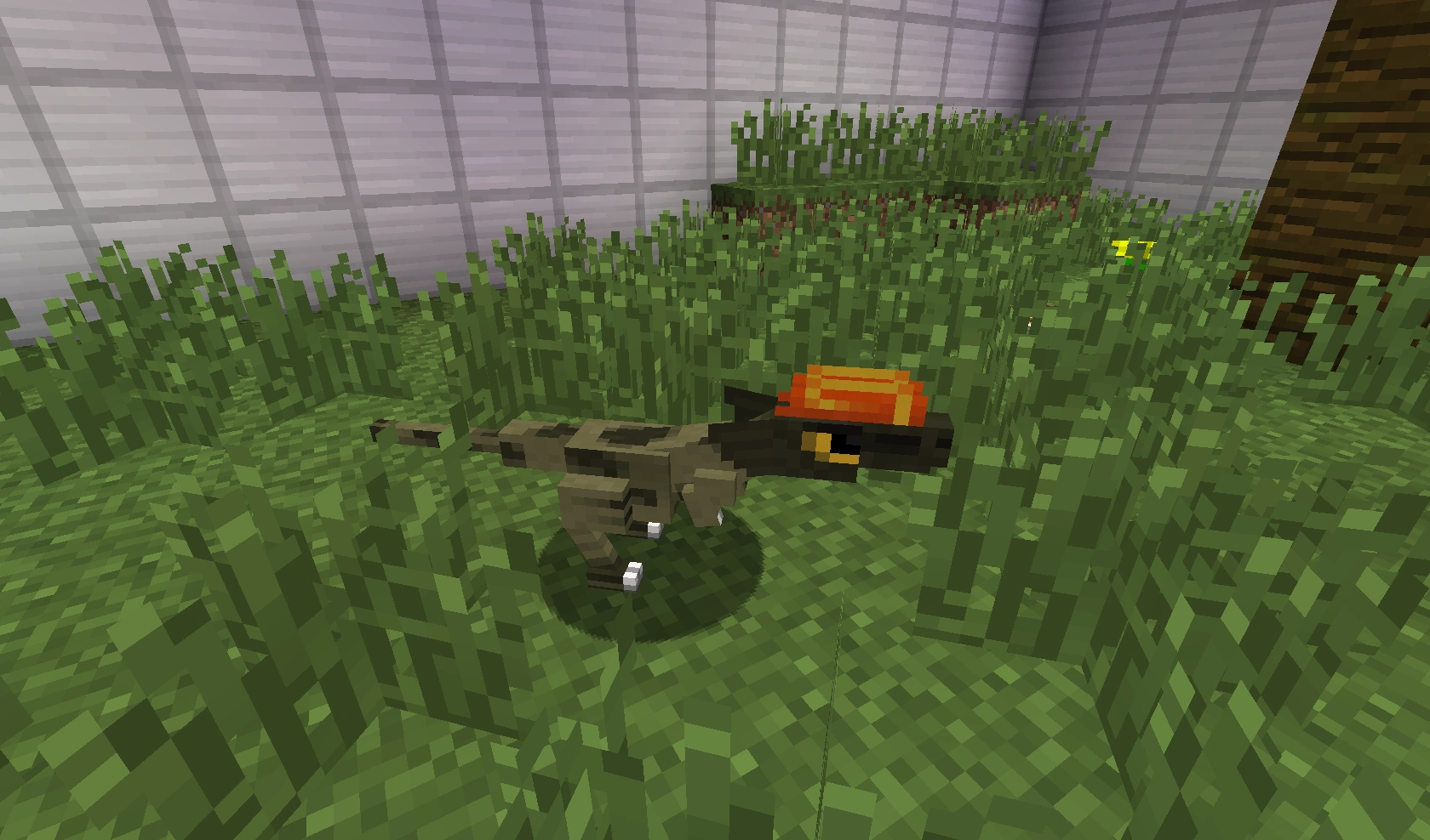 Image Baby Dilophosaurus.png Fossils and Archeology Mod Revival