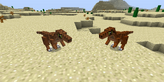 velociraptor fossils and archeology