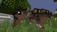 ankylosaurus fossils and archeology