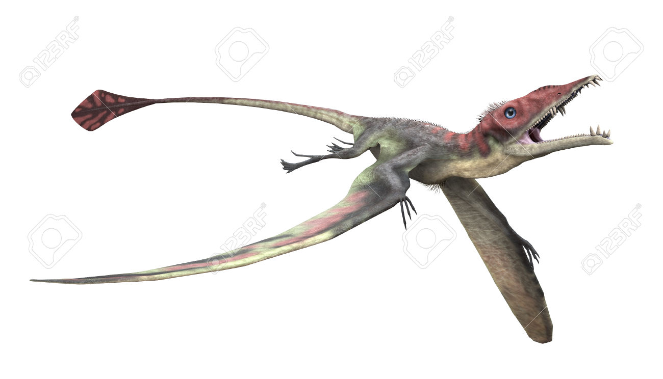 eudimorphodon