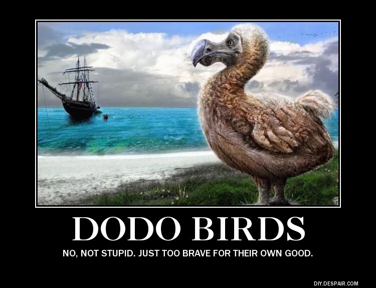 Image Dodo Demotivational.jpg Fossils and Archeology Mod Revival