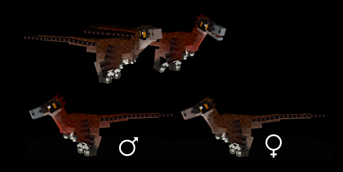 fossils and archeology dinosaurs