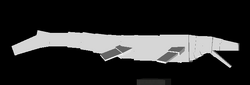 Mosasaurus